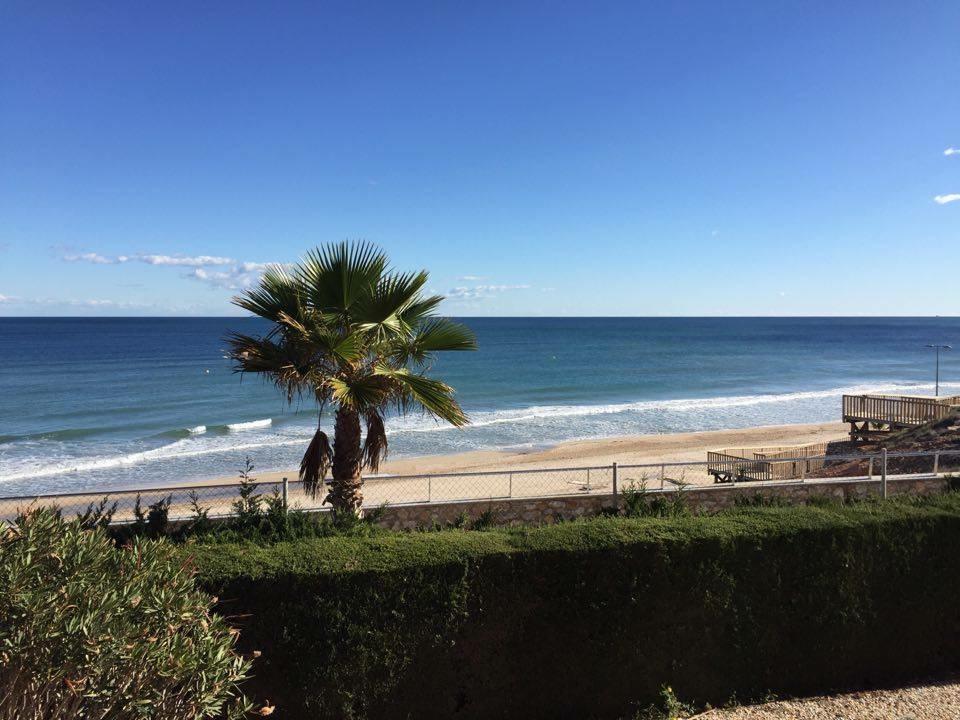 Playamarina 1 Reception 3* Cabo Roig
